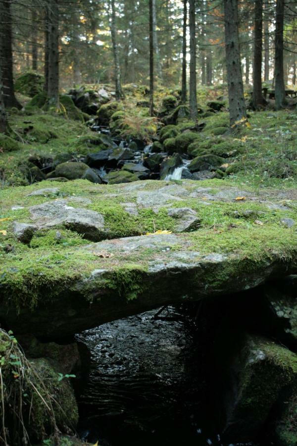 Draengstugan I Humla Blidsberg エクステリア 写真