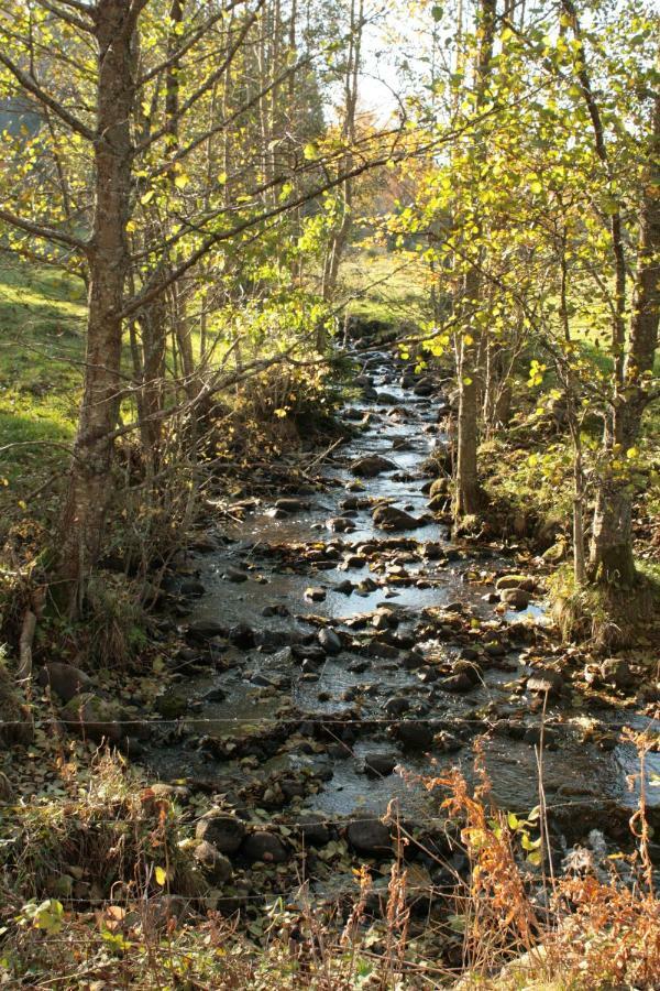 Draengstugan I Humla Blidsberg エクステリア 写真