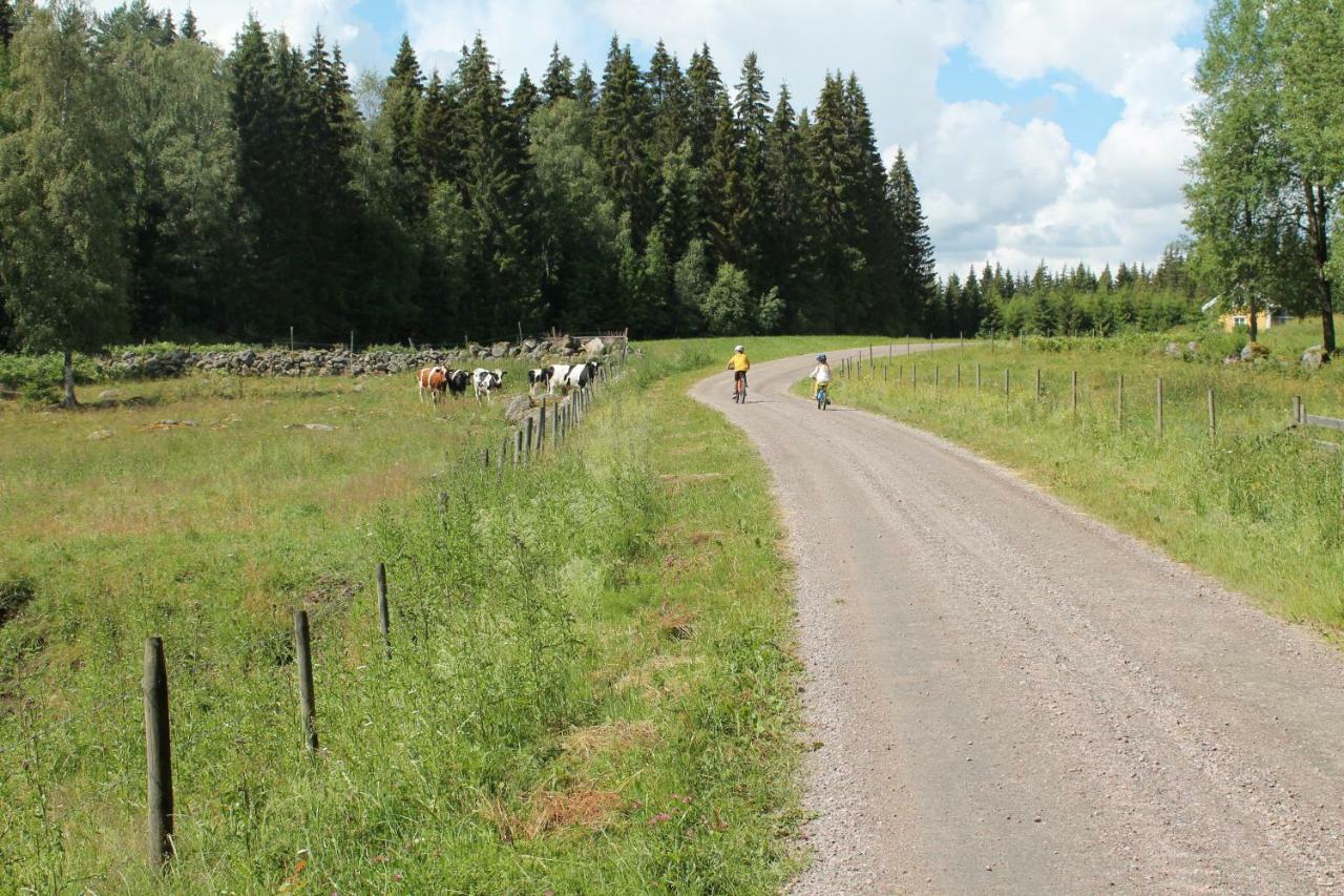 Draengstugan I Humla Blidsberg エクステリア 写真